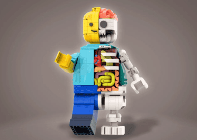 LEGO Anatomy 1