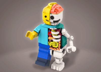 LEGO Anatomy 3