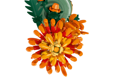 Chrysanthemum-