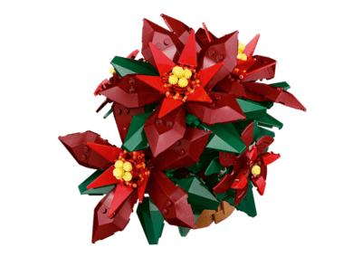 Poinsettia -