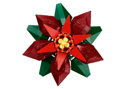 Poinsettia -