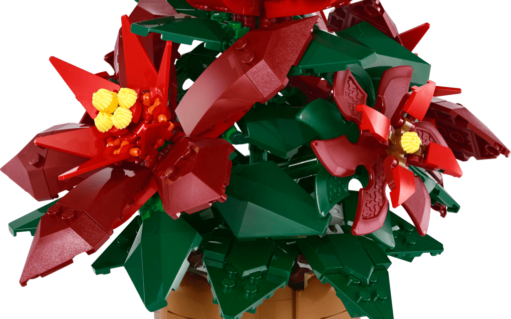 Poinsettia Revealed