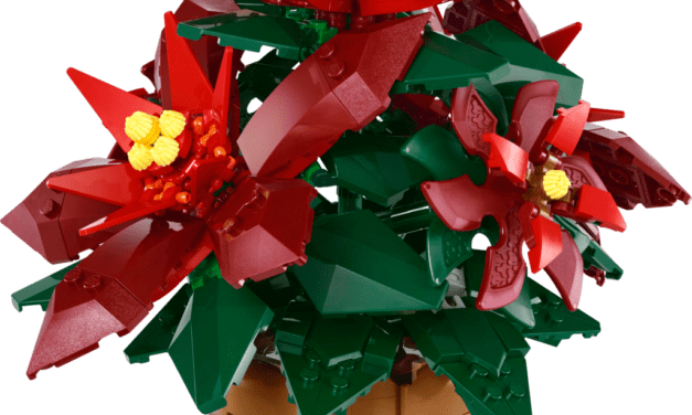 Poinsettia Revealed