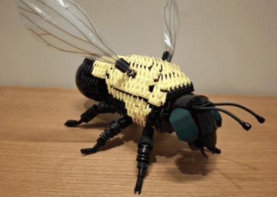 Fuzzy Bumble Bee -