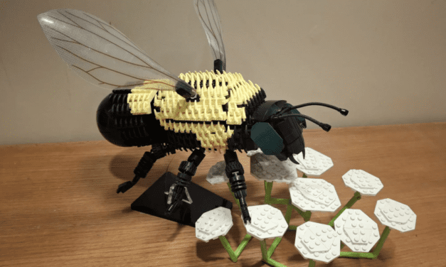 Fuzzy Bumble Bee – Ideas Spotlight