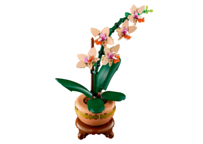 Mini Orchid -