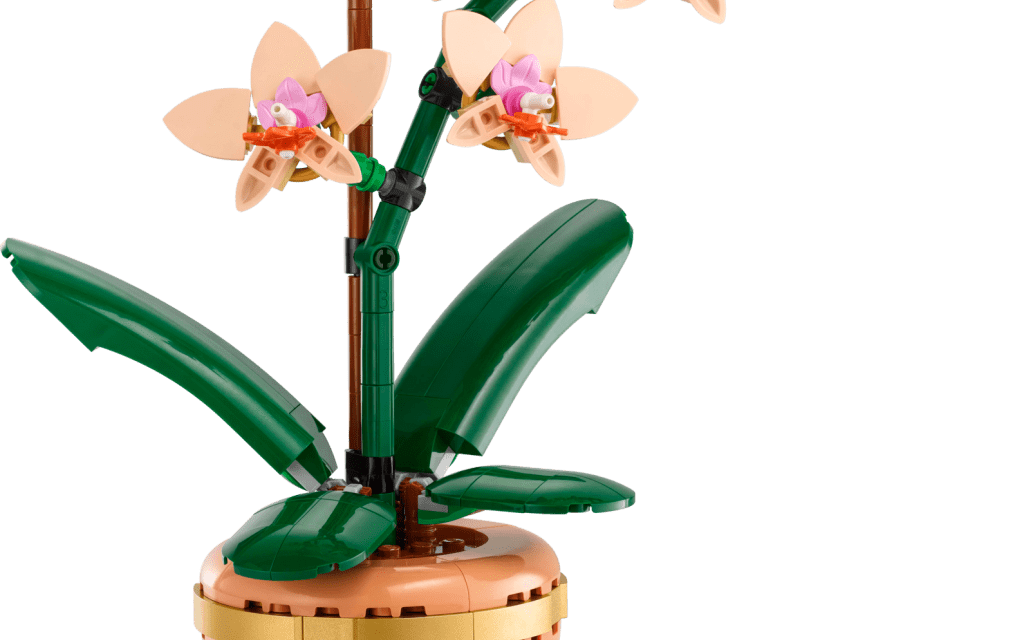 Mini Orchid Revealed