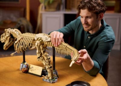 Dinosaur Fossils: Tyrannosaurus rex -