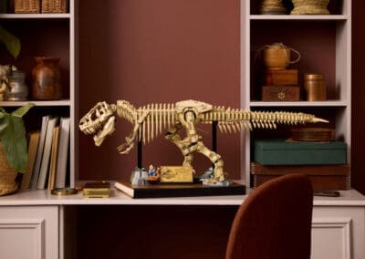 Dinosaur Fossils: Tyrannosaurus rex -