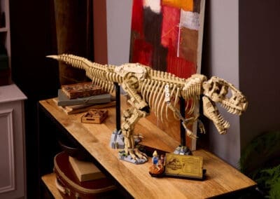 Dinosaur Fossils: Tyrannosaurus rex -