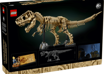 Dinosaur Fossils: Tyrannosaurus rex -