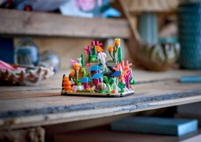 Coral Reef Diorama -