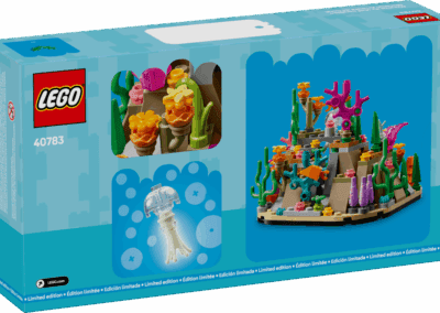 Coral Reef Diorama -