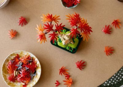 Japanese Red Maple Bonsai Tree -