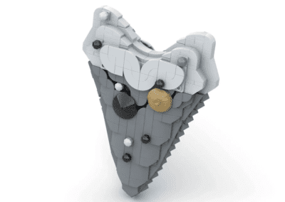 Megalodon Shark Tooth Display -