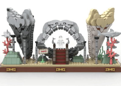 Megalodon Shark Tooth Display -