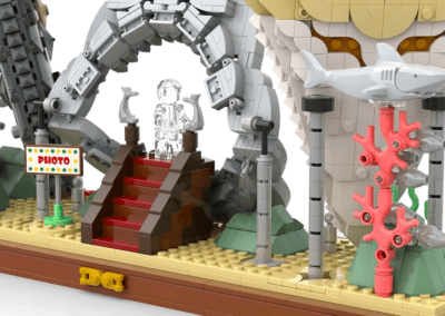 Megalodon Shark Tooth Display -