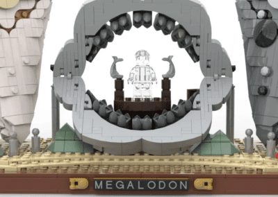 Megalodon Shark Tooth Display -