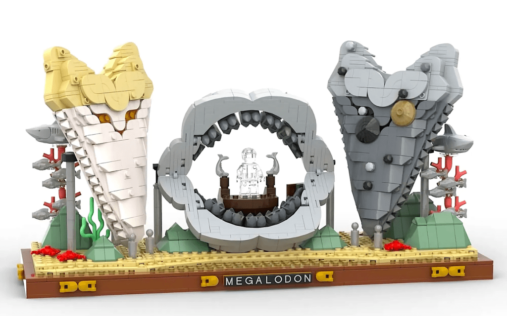 Megalodon Shark Tooth Display – Ideas Spotlight