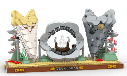 Megalodon Shark Tooth Display – Ideas Spotlight