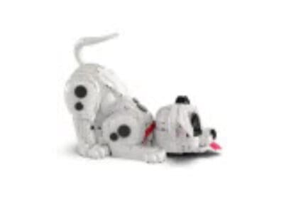 Dalmatians Puppy -