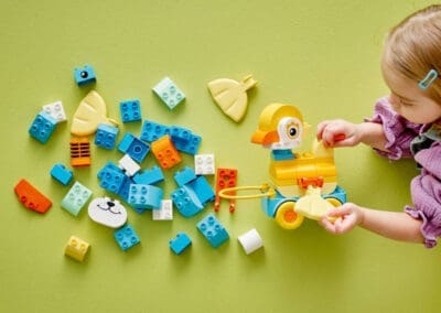 in Animals on Wheels -