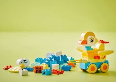 in Animals on Wheels -