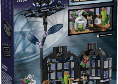 Black Dahlia Flower -