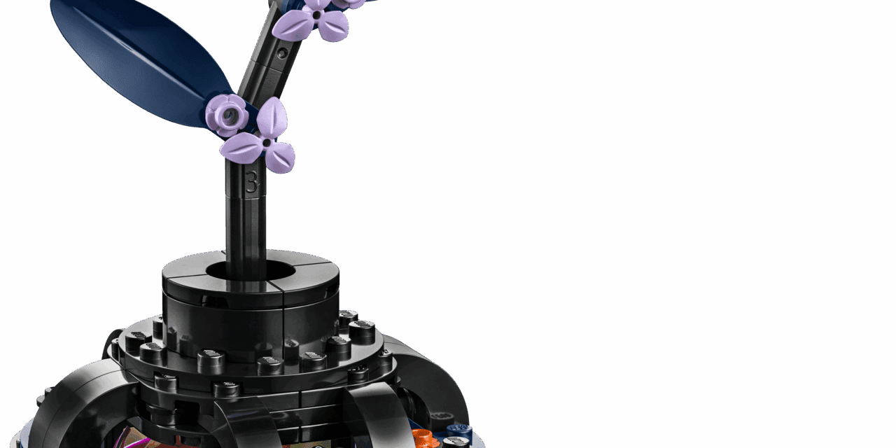 Black Dahlia Flower Revealed