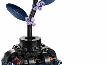 Black Dahlia Flower Revealed