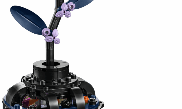 Black Dahlia Flower Revealed