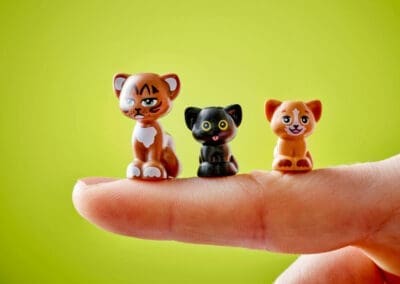 Cat Birthday Party & Tree House -