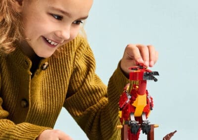 Fawkes: Dumbledore's Phoenix -