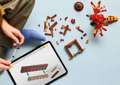 Fawkes: Dumbledore's Phoenix -