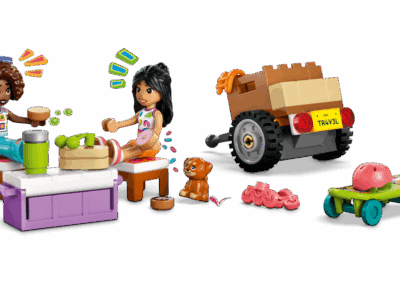 Friendship Road-Trip Travel Car -