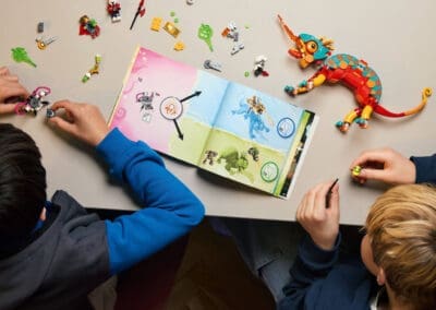 Mateo's Fire Chameleon -