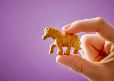 Pony Ranch & Stable -