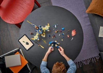 Rogue's Mech Dragon Rider -