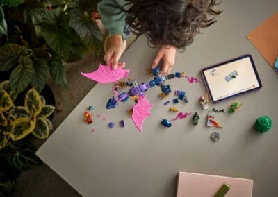 Rontu the Master Dragon -