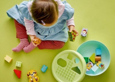 Shape Sorter: Puppy House -