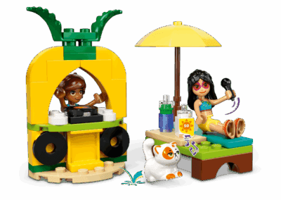 Unicorn & Flamingo Pool Party -