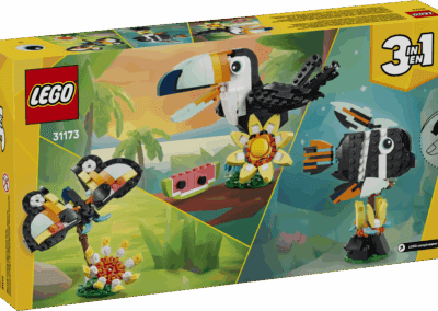 Wild Animals: Tropical Toucan -