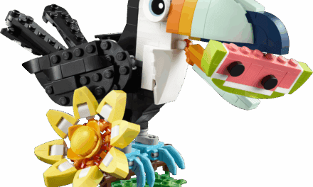 Wild Animals: Tropical Toucan Revealed