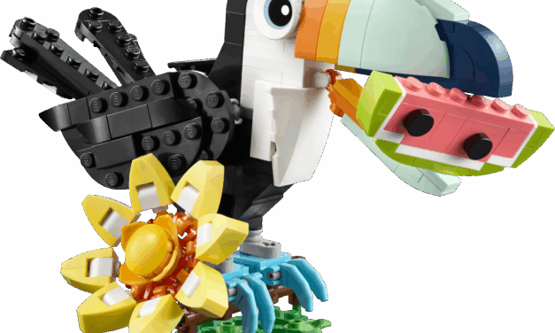 Wild Animals: Tropical Toucan Revealed