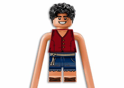 Battle at Arlong Park -