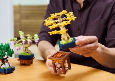 Mini Bonsai Trees -