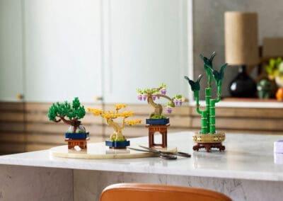 Mini Bonsai Trees -