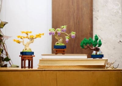 Mini Bonsai Trees -