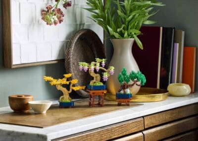 Mini Bonsai Trees -