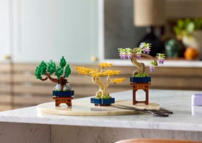 Mini Bonsai Trees -